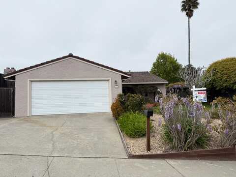 74 Meadow TER, WATSONVILLE, CA 95076