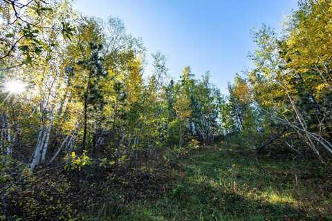 Lot 17 Dynasty Road, Lead, SD 57754