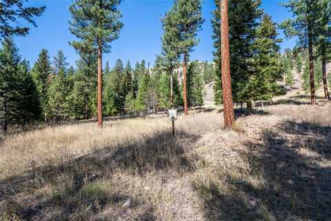 Caddisfly Court lot: 19, Clinton, MT 59825