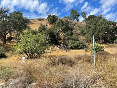 0 Chiquita Canyon RD, Val Verde, CA 91384