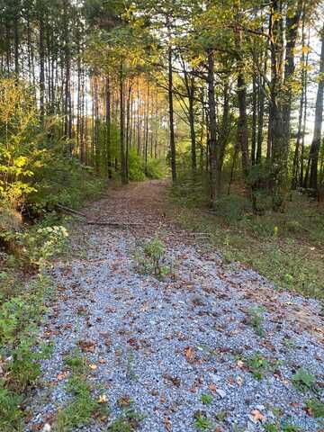 3.7 Acres +/- County Highway 10, Blountsville, AL 35031