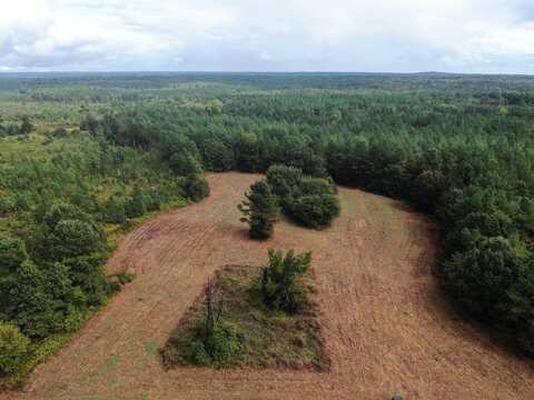 Mt. Gilead Road, Holly Springs, MS 38635