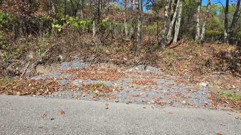 0 Murray Creek Rd, Athens, PA 18810