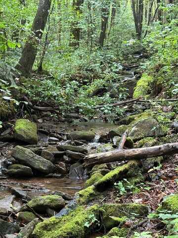 Trt 1 Forest Cove Trail, Hayesville, NC 28904