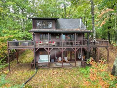95 Rosiey Lane, Cherry Log, GA 30522
