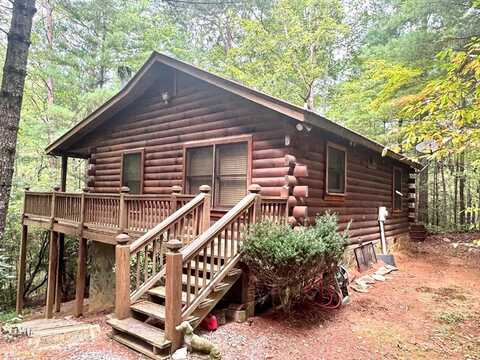 63 Posey Road, Cherry Log, GA 30522
