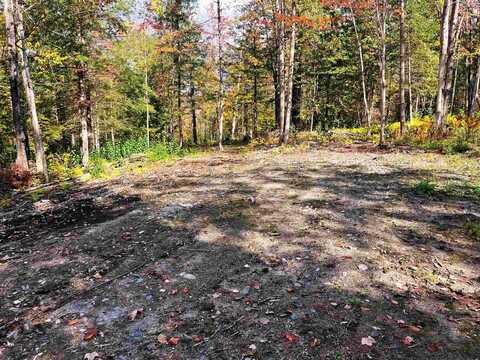 00 Duck Pond Road, Barton, VT 05822