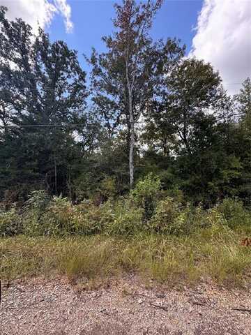 Tbd Cottonwood Lane, Murchison, TX 75778
