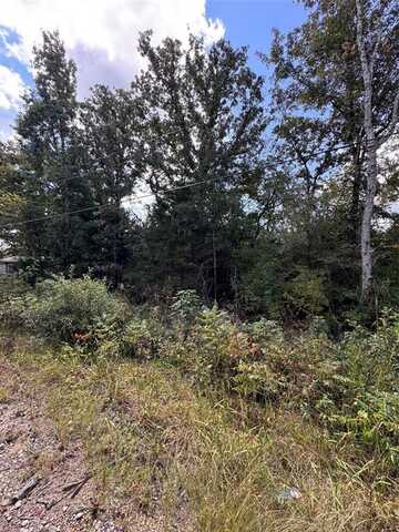 Tbd-3 Cottonwood Lane, Murchison, TX 75778