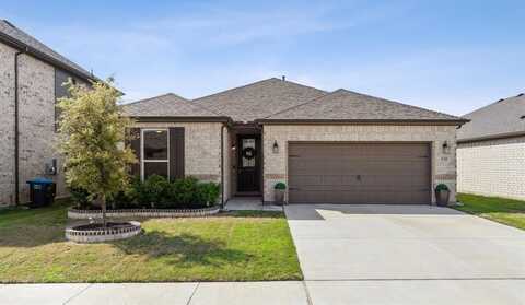 132 Plumed Thistle Drive, Fort Worth, TX 76131