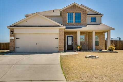 301 Plum Drive, Josephine, TX 75173