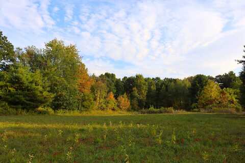 0 Ray Road, Clifton Park, NY 12148