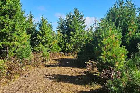 Lot 3 East Shore Road, Solon Springs, WI 54873