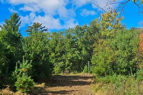Lot 1 East Shore Road, Solon Springs, WI 54873