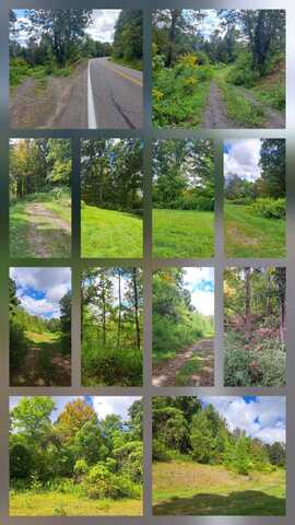 0 County Route 17-between Georges and Taggart's properties, Bainbridge, NY 13733