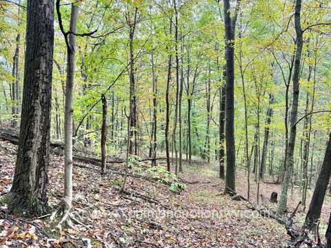 0 Jesse Run Rd., Arnoldsburg, WV 25234