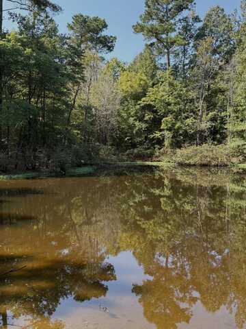 1230 Lagrange Road, Mathiston, MS 39752