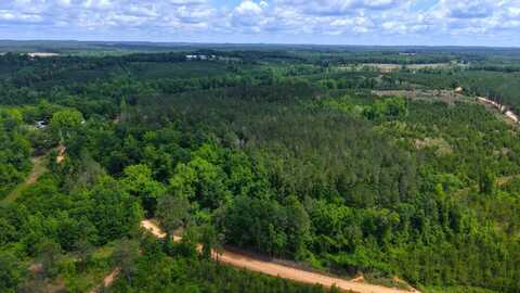 0 Pusley Ridge Road, Highland Home, AL 36041