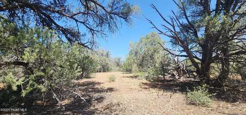 Lot 330 Forest Acres, Chino Valley, AZ 86323