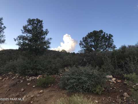 00000 W Buckhorn - V Drive, Peeples Valley, AZ 86332