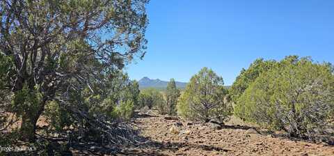 Lot 578 Elvis Presley Blvd, Williams, AZ 86046