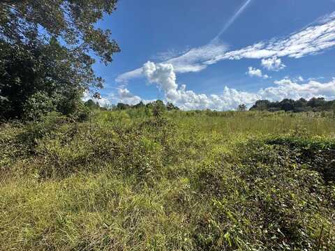 0 County Road 200, Jack, AL 36346