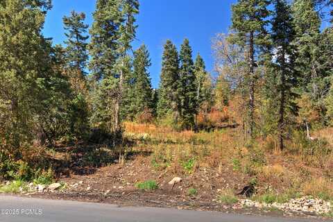 195 Saint Moritz Strasse lot: 87, Park City, UT 84098