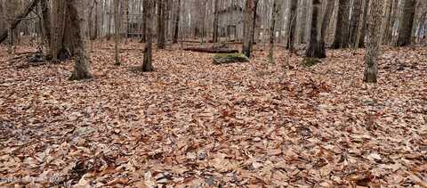 164 Mountain View Dr #1007 Drive, Pocono Lake, PA 18347