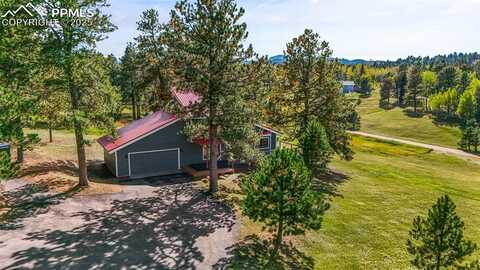 215 Rutgers Place, Woodland Park, CO 80863