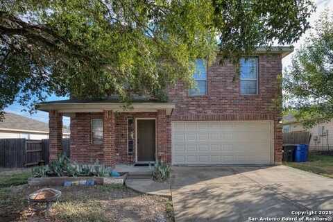 310 Ibis Falls Drive, New Braunfels, TX 78130