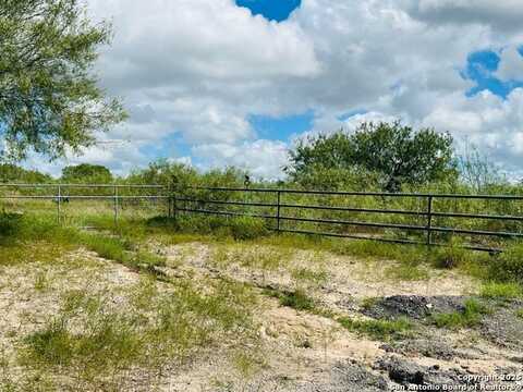 132 County Road 135, George West, TX 78022