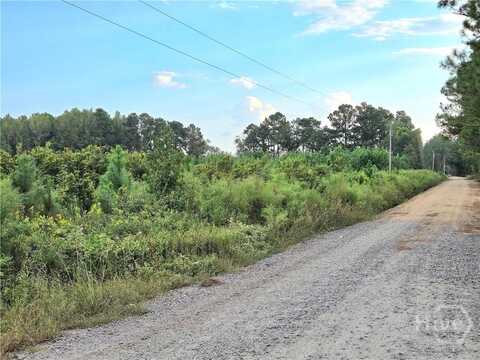 0 G W Oliver Road, Statesboro, GA 30458