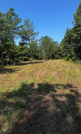 Old Shore RD, Blackstone, VA 23824