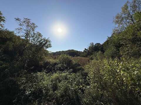 27 Ac. Dougherty Creek Rd Road, Argyle, WI 53504