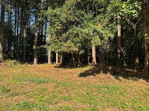 Lot 63B LOCUSTVILLE RD, ONLEY, VA 23418