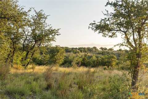 Lot 68 Leaning Madrone Drive, Johnson City, TX 78636