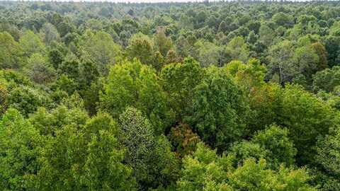 20.42AC CCC Road, Drakes Branch, VA 23937