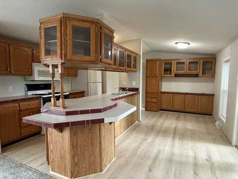 1125 Nicolson St, Wayland, MI 49348