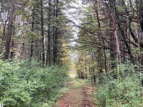 3787 Kelly Road, Lupton, MI 48635