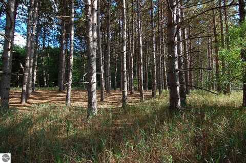 10200 80th Avenue, Evart, MI 49631
