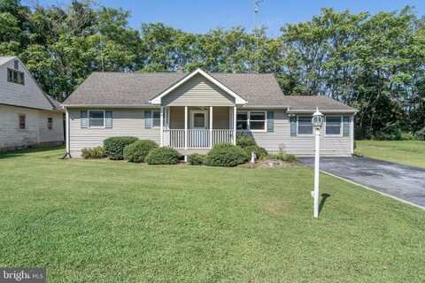 113 MARTIN LANE, REHOBOTH BEACH, DE 19971