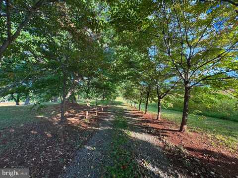 164 GARRETTS MILL ROAD, BUMPASS, VA 23024