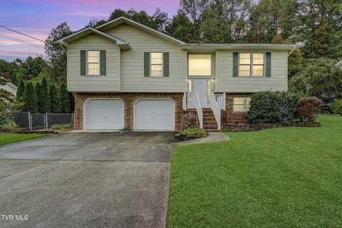 210 Grandview Street, Mount Carmel, TN 37645