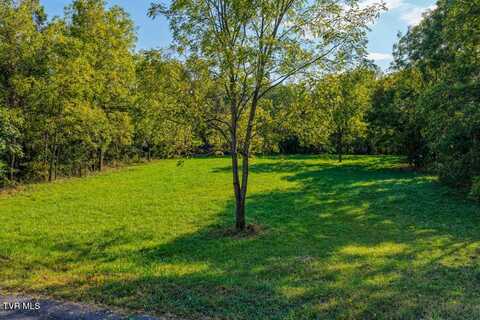 New Salem Road, Rogersville, TN 37857