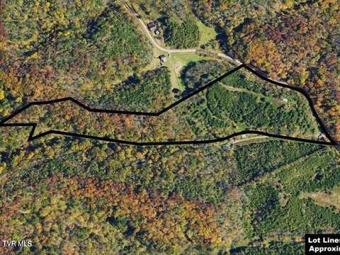 1200 Jackson Hollow Road, Mosheim, TN 37818