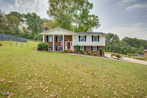 720 S Sherbrooke Circle, Mount Carmel, TN 37645