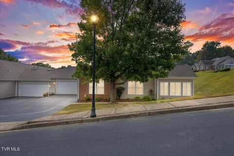 144 Avonlea Place unit: 0, Johnson City, TN 37601