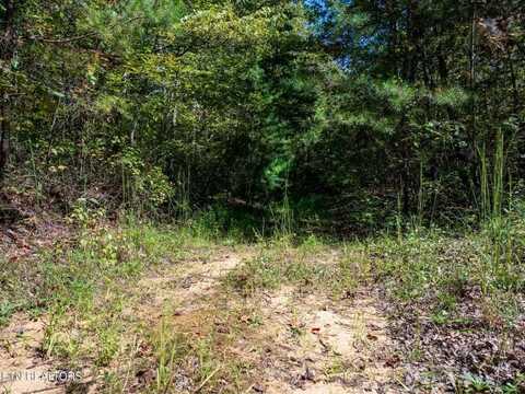 Tiffany Ln, Jamestown, TN 38556