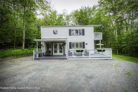 295 Pine Lane, Hunter, NY 12442