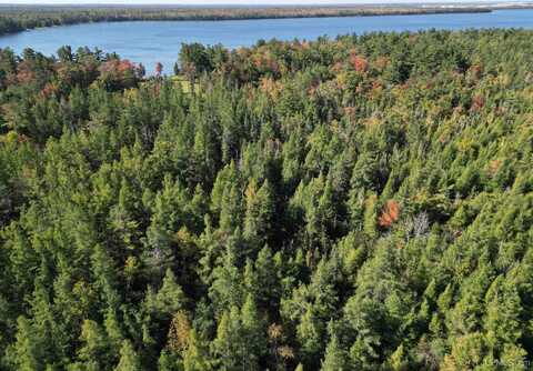 TBD Champ Elysees, Gould City, MI 49838